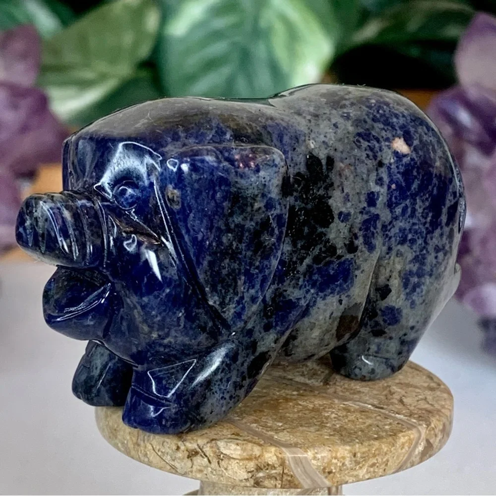 Sodalite Crystal Carved Pig Figurine Blue Stone Animal Carving Chinese Zodiac